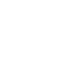 logoBrainport